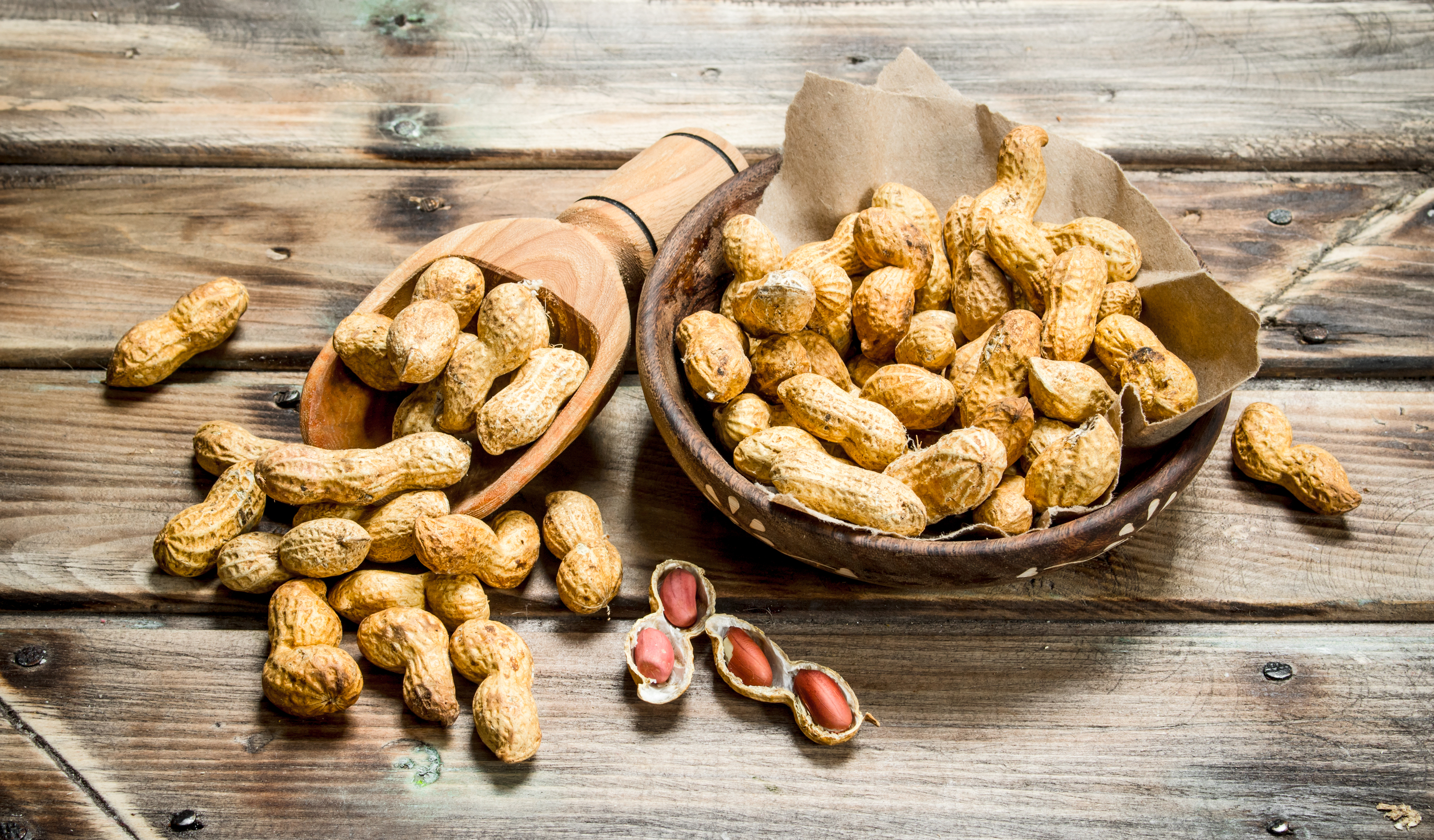 peanuts in a bowl