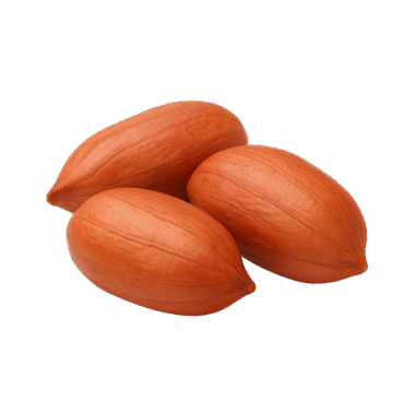 73473 e1760021699512